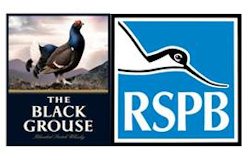 The Black Grouse and RSPB