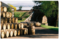 A view of all the barrels stored outside of the Glenmorangie Distillery