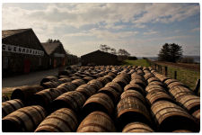 A view of all the barrels outside of the Glenmorangie Distillery